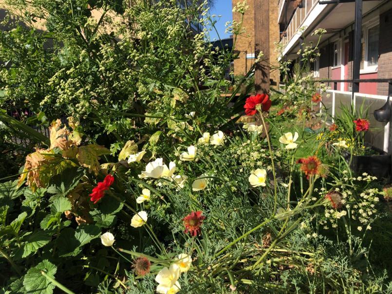 Photo from debmitchener(4)